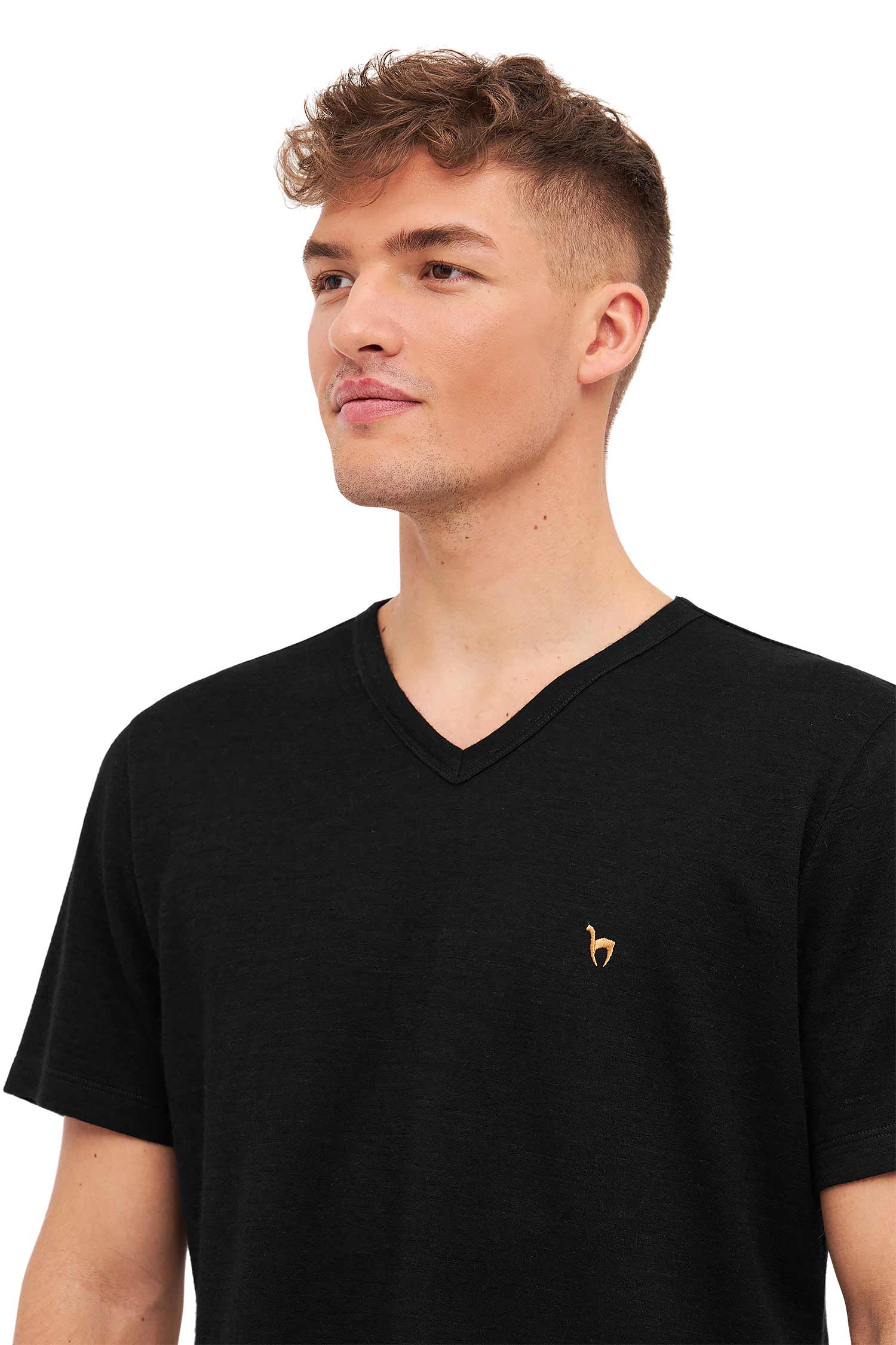 Alpaka T-Shirt THERMO-schwarz