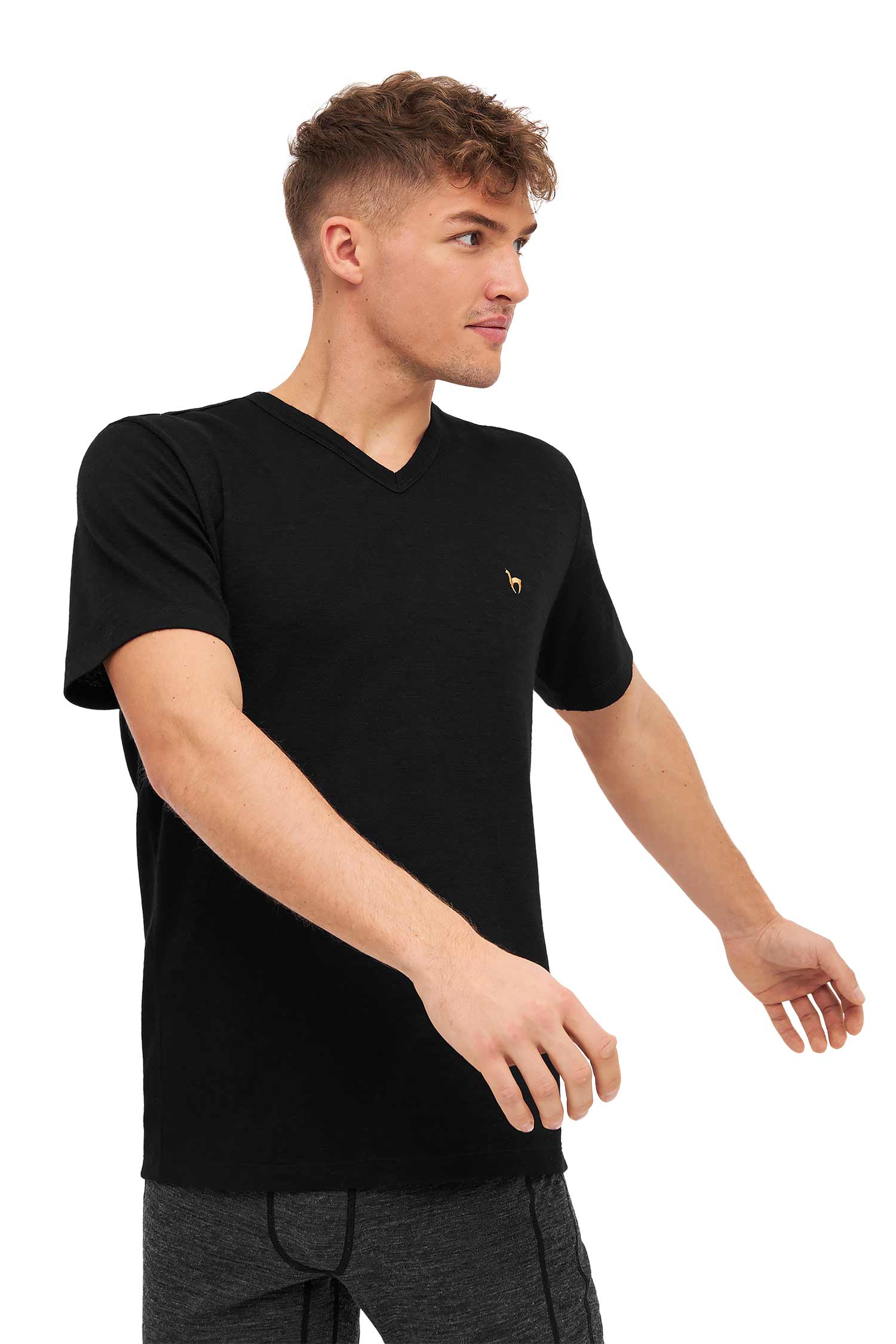 Alpaka T-Shirt THERMO-schwarz