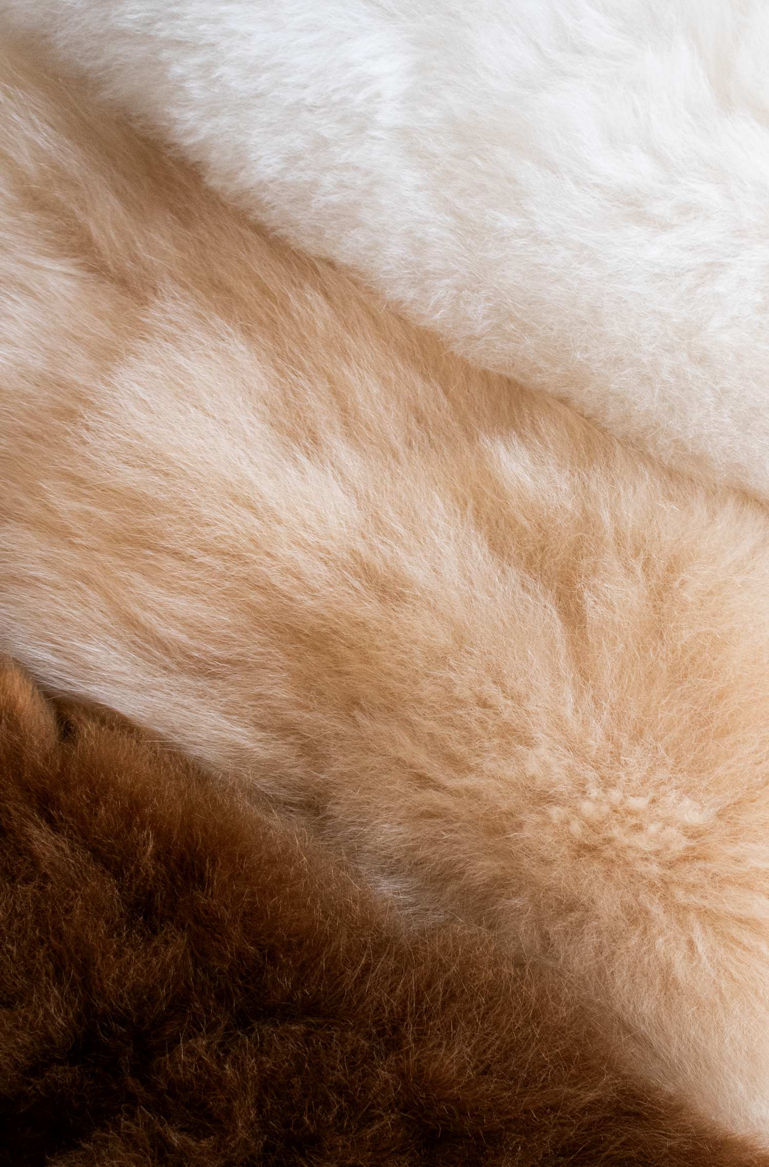 Alpaka Wärmflasche CALIENTE 0.6l-weiss