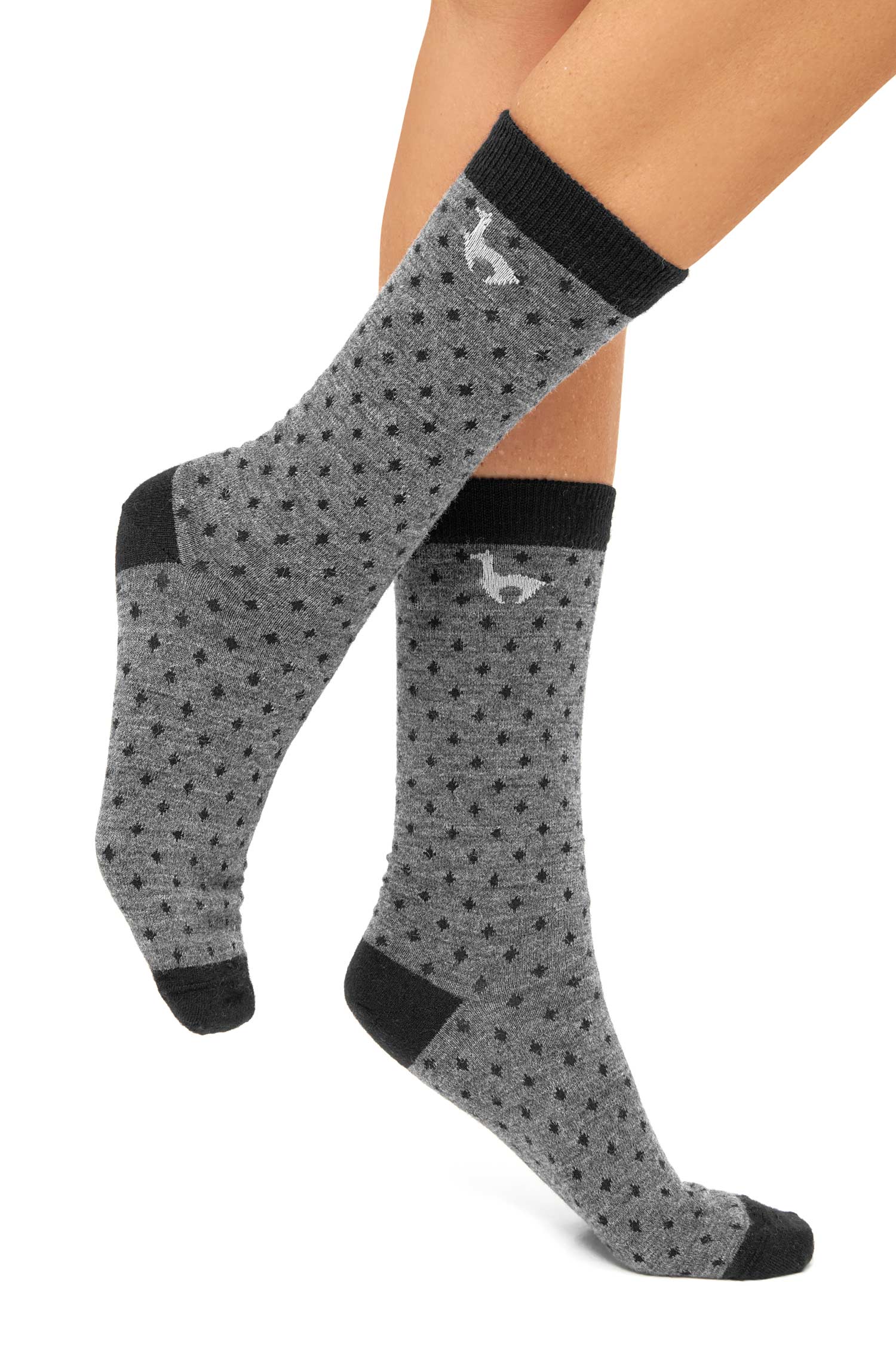Alpaka Socken DOTTED | 6er-Pack-anthrazit