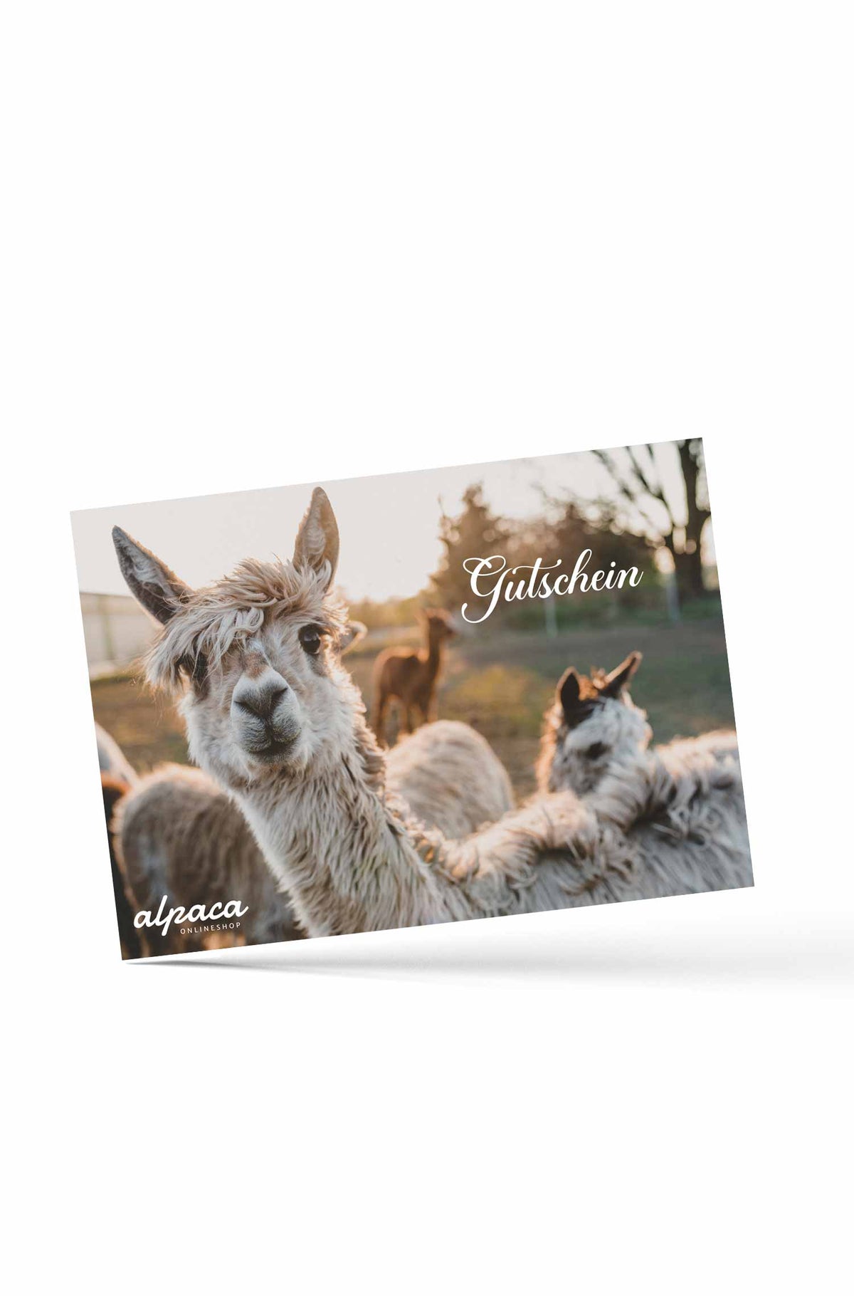 Geschenkgutschein 25.--foto