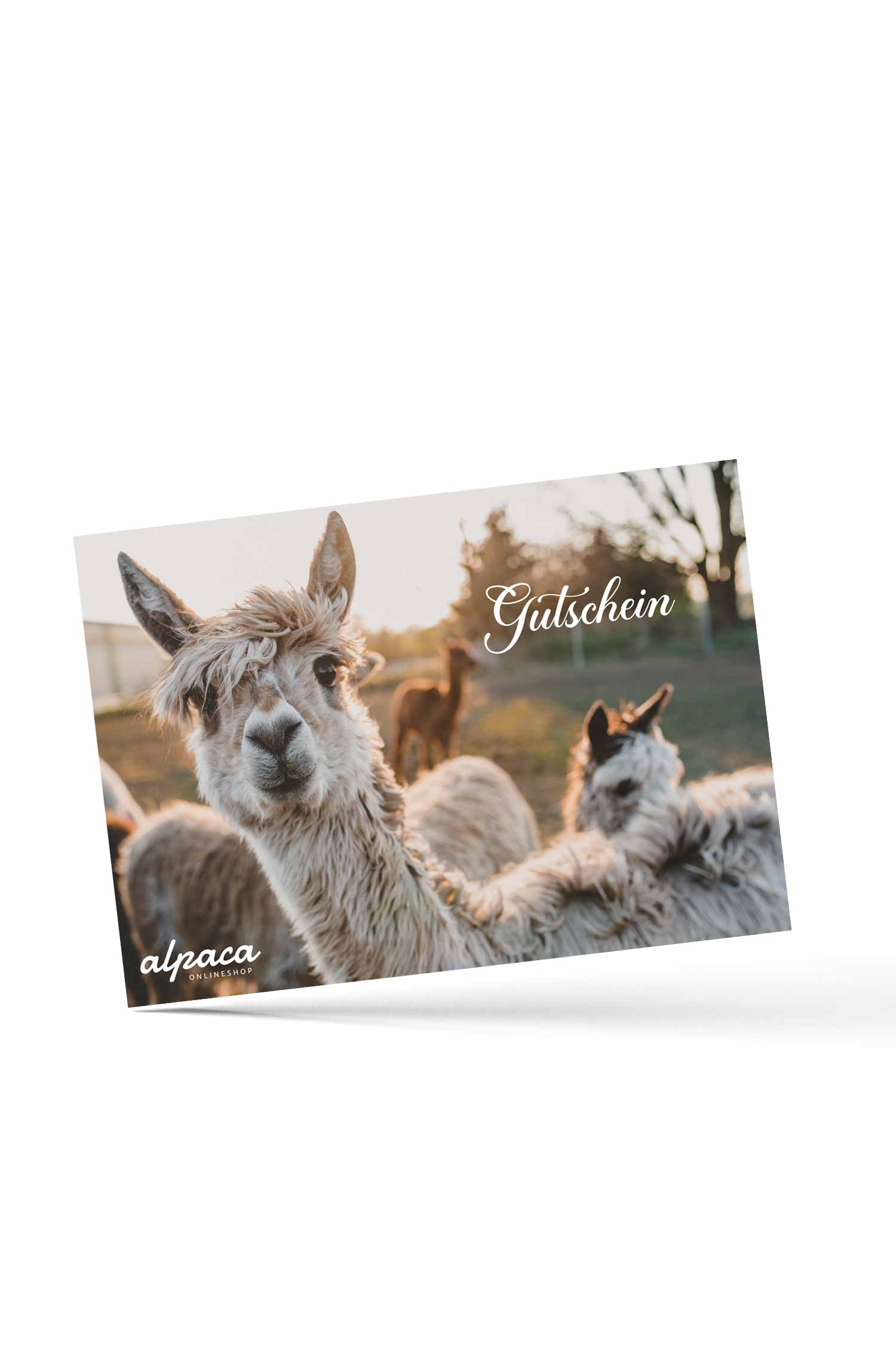 Geschenkgutschein 50.--foto