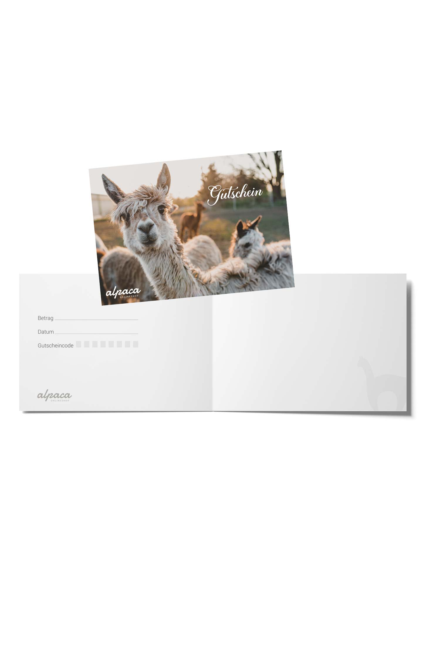 Geschenkgutschein 200.--foto