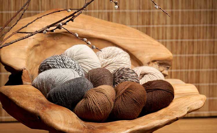 La laine d'alpaga - une fibre de luxe durable