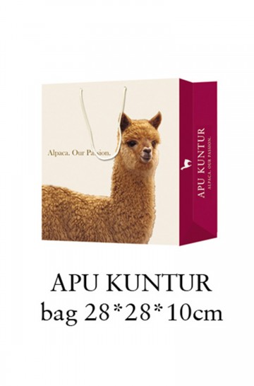 APU KUNTUR bag medium size 28*28*10 cm