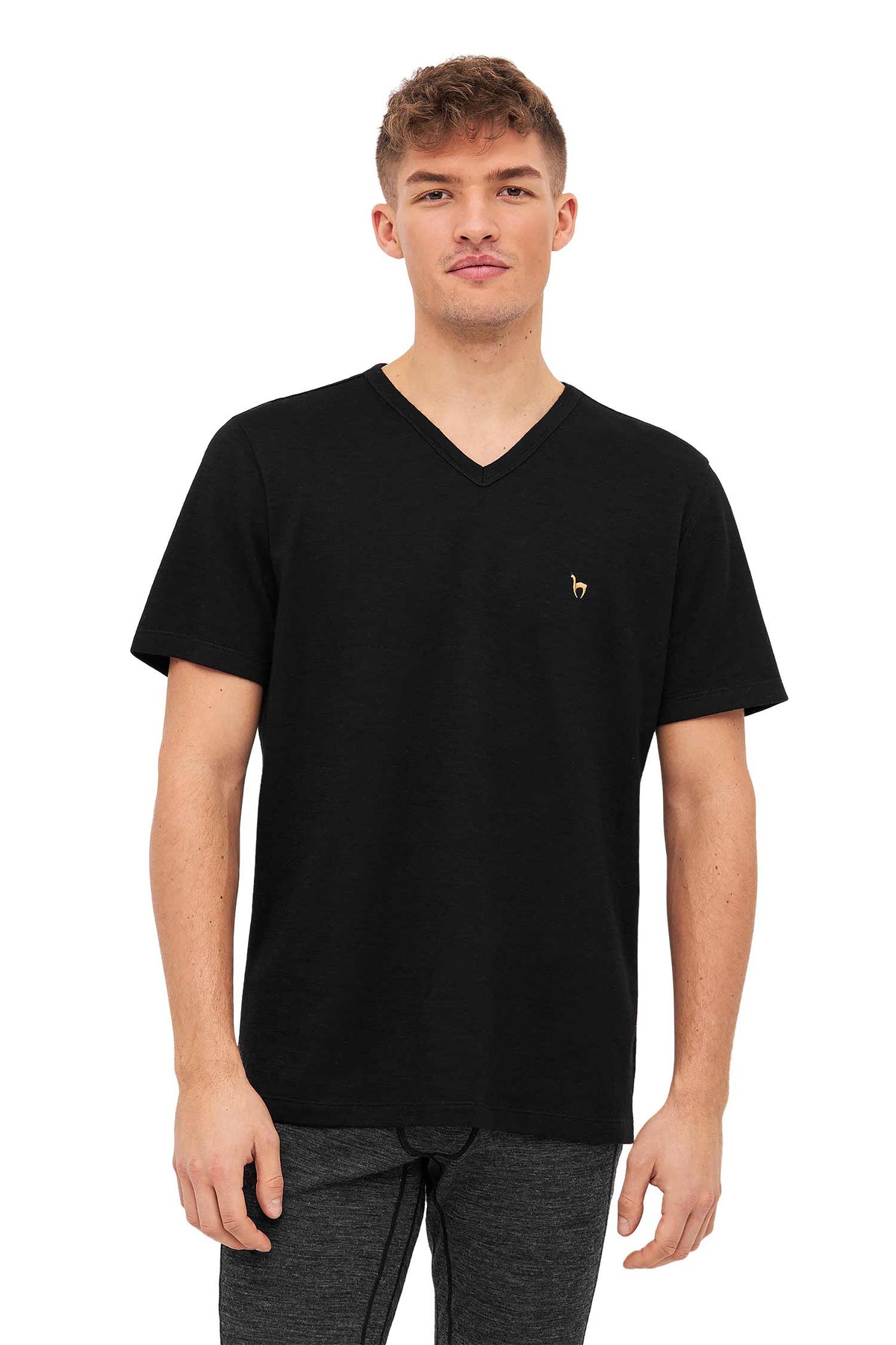 Alpaka T-Shirt THERMO-schwarz