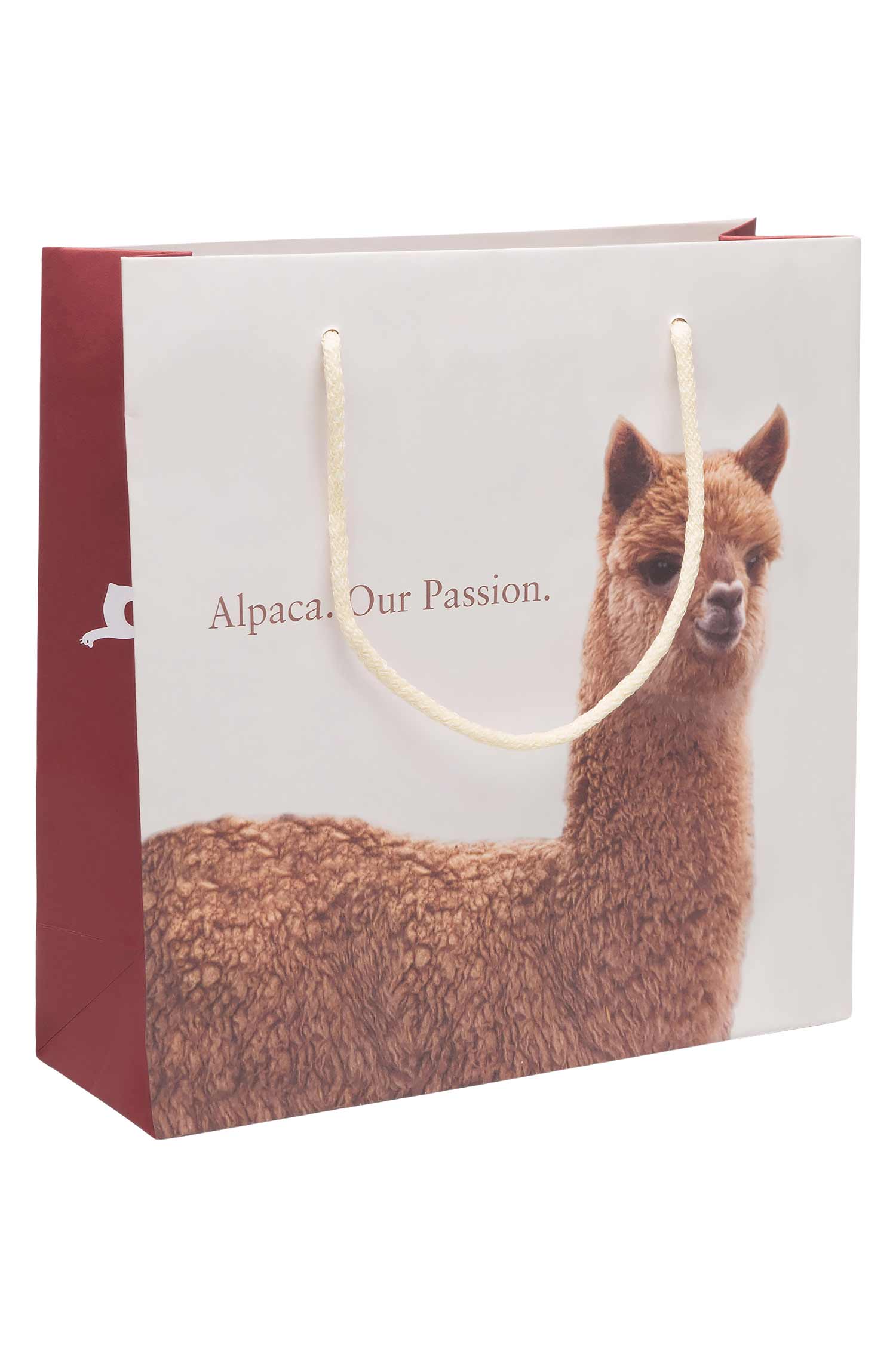 Papiertragtasche APU KUNTUR-deutsch